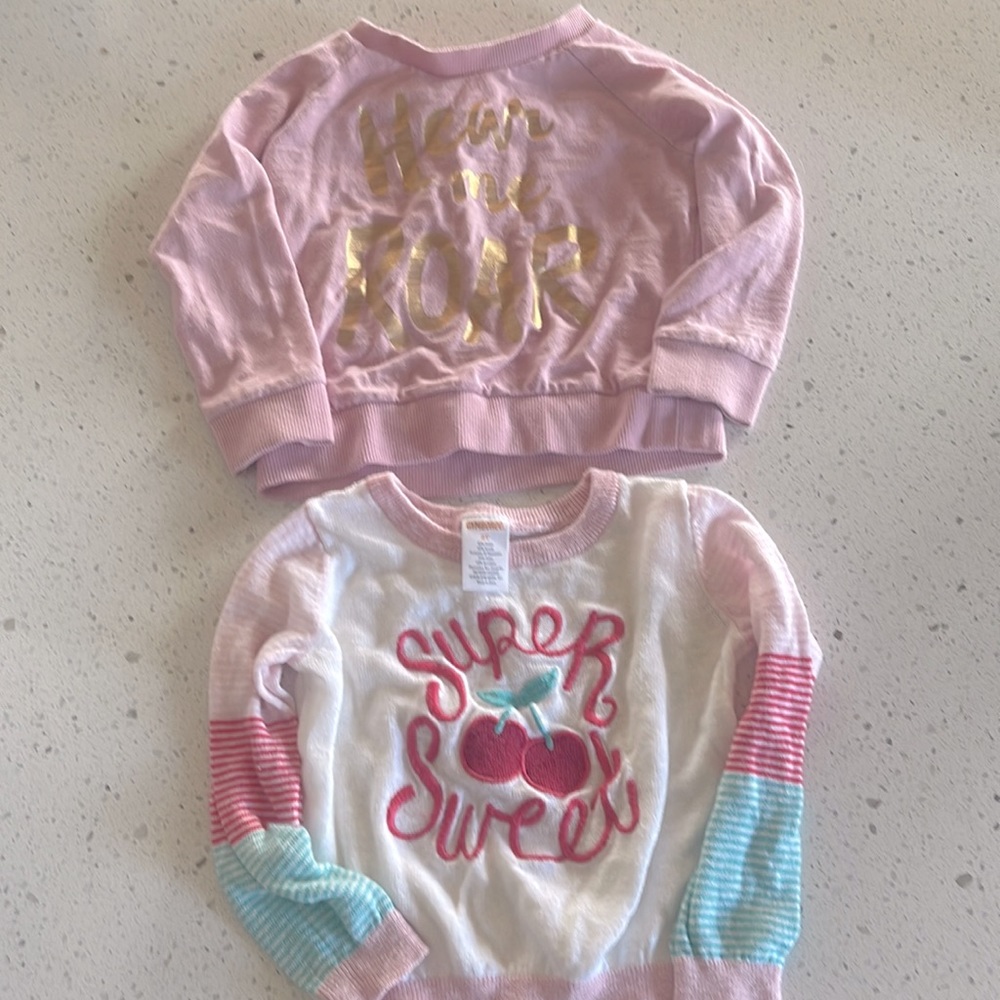 Girls 2T Gymboree long sleeve sweatshirts- worn once